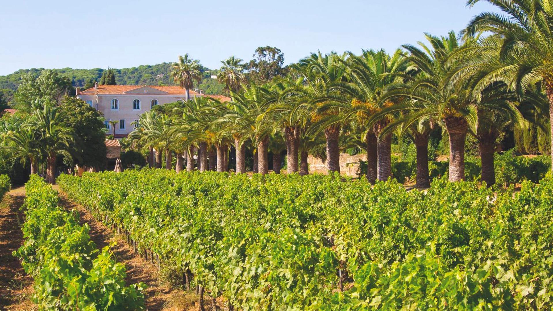 Chateau De Valmer Ла Круа-Вальме Экстерьер фото